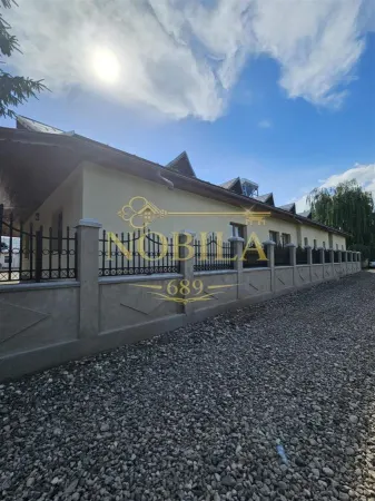 Hotel/Pensiune Borzesti - poza 10