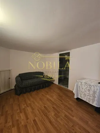 Hotel/Pensiune Târgu Ocna - poza 15