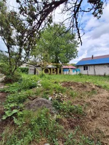 CASA SI TEREN DE VANZARE LOC CUCOVA - foto 8