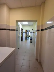 SPATIU COMERCIAL DE INCHIARIAT ZONA DE SUS ONESTI - foto 20