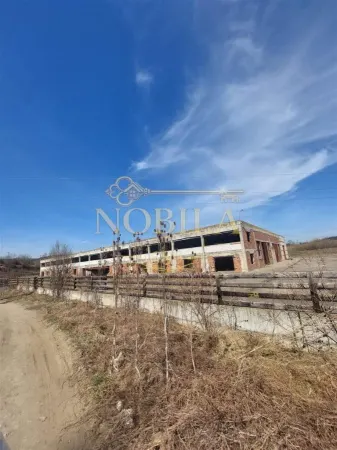 Spațiu industrial Casin - poza 1