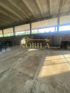CLADIRE INDUSTRIALA 3500 mp  SI TEREN 10.000 MP DE VANZARE CASIN - foto 7