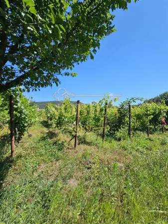 Teren Târgu Ocna - poza 4