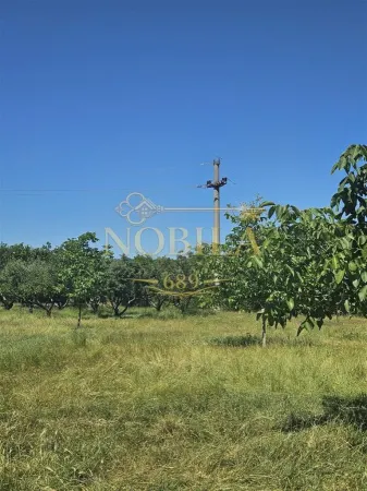Teren Târgu Ocna - poza 5