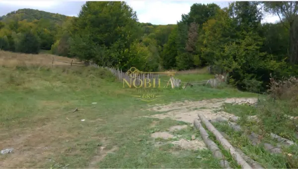 Teren Slănic-Moldova - poza 4