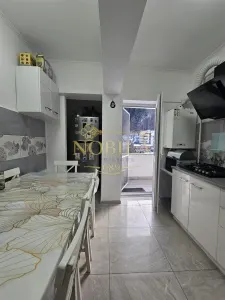 APARTAMENT CU 3 CAMERE DE VANZARE IN STATIUNEA MONTANA SLANIC MOLDOVA - foto 3