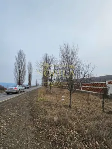 Teren Platou Premium, 57.662 mp, Deschidere Generoasă  400 ml la DJ Onești–Adjud - Popeni