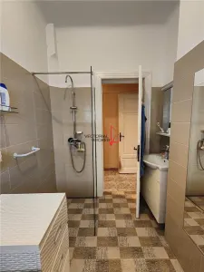 Casa spatioasa cu gradina mare zona Expozitiei  Agronomie - foto 13