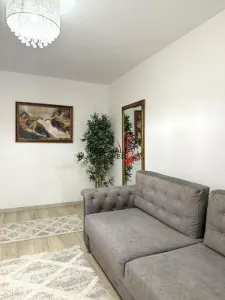Apartament et.1/10, renovat mobilat si utilat - foto 8
