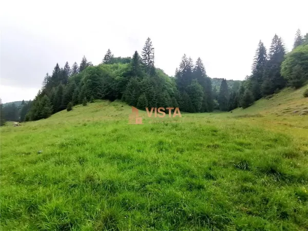 Teren Poiana Brașov - poza 1