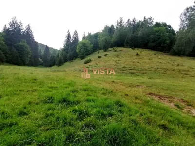 Teren intravilan Poiana Mica, 2763 mp, PUZ constructie casa P+4E+M - foto 3