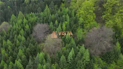 Teren 6500mp Dambu Morii - Bunloc, Brasov - foto 7