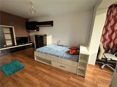 Renovat Spatios Etaj 2 Calea Sagului - foto 11
