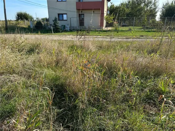 Teren Timișoara - poza 1
