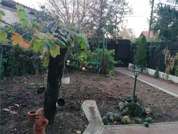 Casă 9 camere Timișoara - poza 15