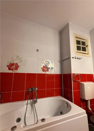 Casă 9 camere Timișoara - poza 4