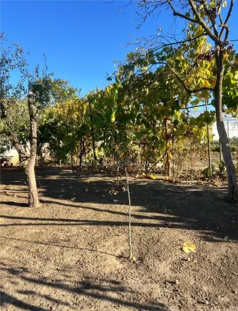 Casă 4 camere Parta - poza 19