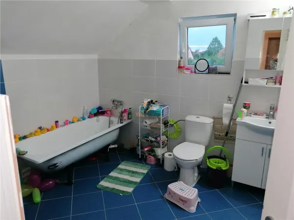 Casă 5 camere Timișoara - poza 23