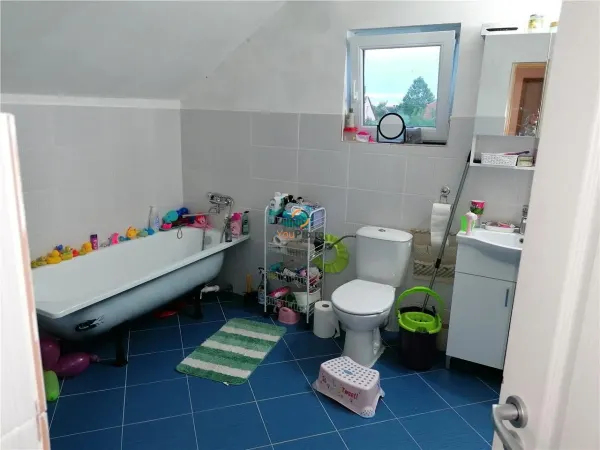 Casă 5 camere Timișoara - poza 8