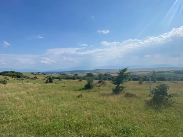 Teren Sibiu - poza 3