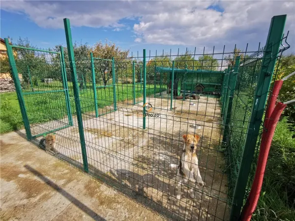 Casă 8 camere Moșnița Nouă - poza 11