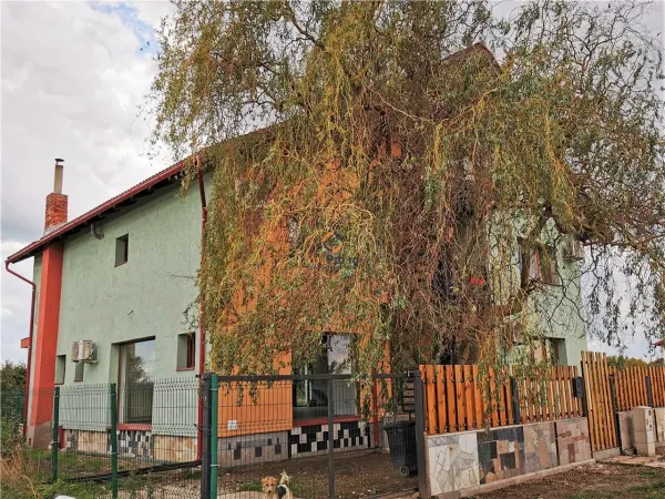 Casă 8 camere Moșnița Nouă - poza 14