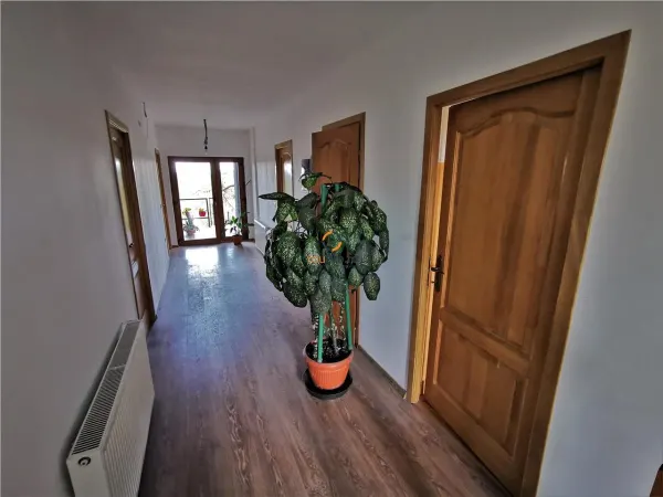 Casă 8 camere Moșnița Nouă - poza 4