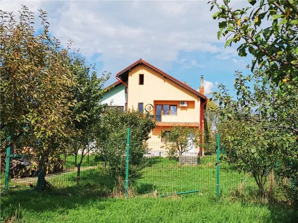 Casă 8 camere Moșnița Nouă - poza 8