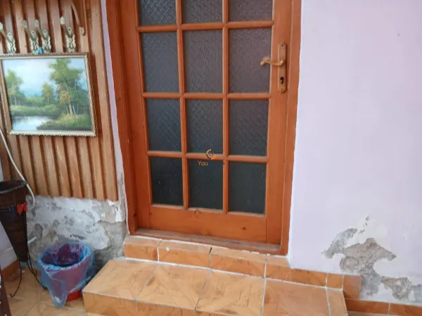 Apartament 1 camera Timișoara - poza 8