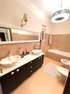Vila Deosebita Dumbravita - foto 14