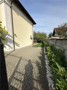Vila Deosebita Dumbravita - foto 4