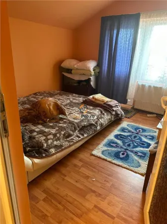 Casă 6 camere Timișoara - poza 9