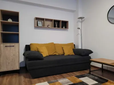 Apartament 1 camera Maurer Residence Brasov - foto 2