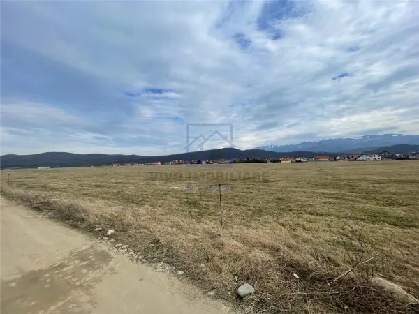 Teren Tălmaciu - poza 1