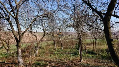 Vand teren in Santelec - foto 4