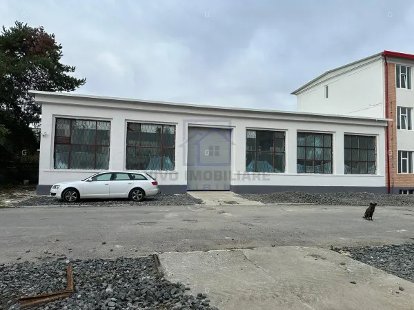 Spațiu industrial Sibiu - poza 8