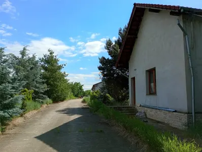 Hala industriala + Casa+ 9650 mp teren - Tileagd
