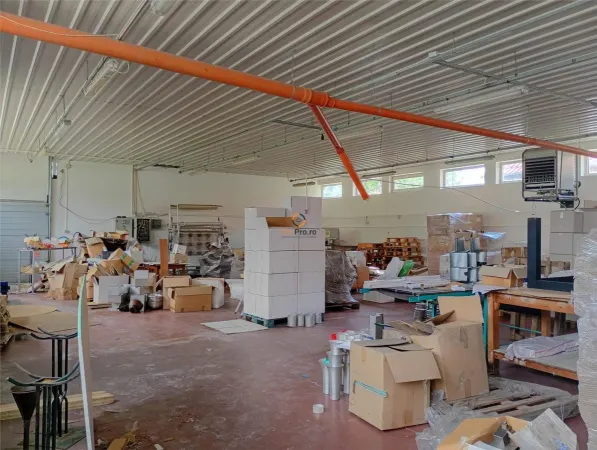 Spațiu industrial Tileagd - poza 3