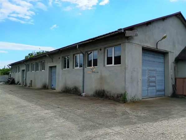 Spațiu industrial Tileagd - poza 7