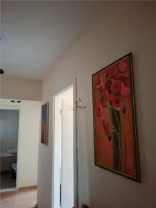 Apartament cu Centrala Iulius Mall - foto 22