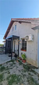 Doua Case In Curte  Cenei La 28 Km De Timisoara - foto 1