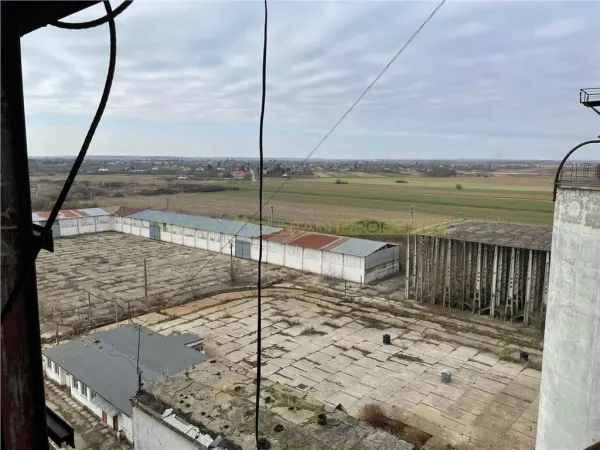 Spațiu industrial Peris - poza 1