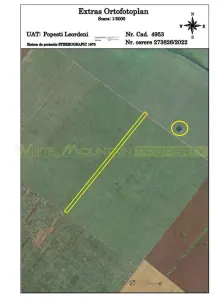 Teren, 45000 mp, de vanzare, Popesti Leordeni - foto 20