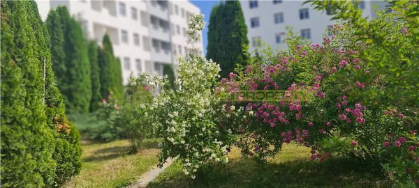 Apartament 2 camere Buftea - poza 4