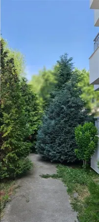 Apartament 2 camere Buftea - poza 5
