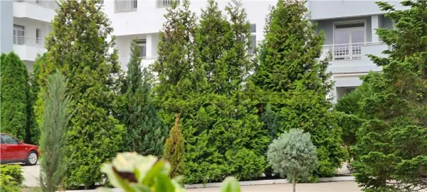 Apartament 2 camere Buftea - poza 7