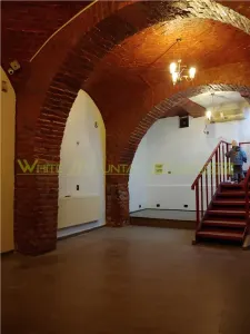 Spatiu comercial 200-350 mp,  inchiriere, zona Eminescu - foto 11