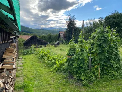 Casa 5 camere, de vanzare, Valea Doftanei - foto 11