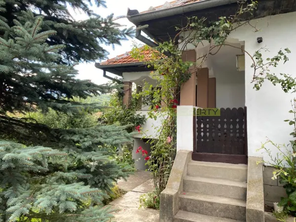 Casă 5 camere Traisteni - poza 13