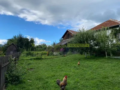 Casa 5 camere, de vanzare, Valea Doftanei - foto 3
